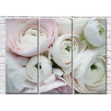 Картина Magic Color Buds of White ranunculus (3572502)