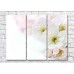 Картина Magic Color Spring fruit flowers on White background (500171)