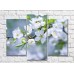 Картина Magic Color Sakura branches with White flowers (500172)