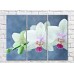 Картина Magic Color White orchid speckled branch on Gray/Blue background (500174)