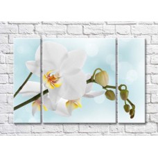 Картина Magic Color White orchid branch with buds on a Blue background (500181)