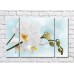 Картина Magic Color White orchid branch with buds on a Blue background (500181)