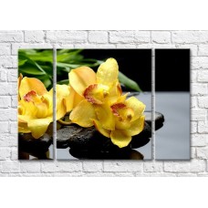 Pictură Magic Color Branch of Yellow orchid on wet Black pebbles (500184)