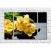 Картина Magic Color Branch of Yellow orchid on wet Black pebbles (500184)