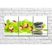 Картина Magic Color Green orchid branch and flat stones on White background (500185)