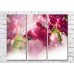 Картина Magic Color Peach branch with Pink flowers (500190)