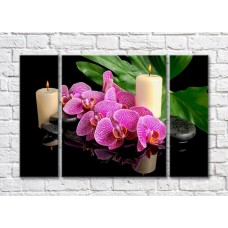 Картина Magic Color A branch of a variegated orchid and burning candles (500191)