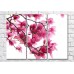 Картина Magic Color Pink magnolia branch on White background (500192)