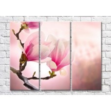 Картина Magic Color Branch of pink magnolia on a Pink background (3448880)