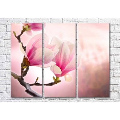 Картина Magic Color Pink magnolia branch with large flowers (500194)