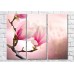 Картина Magic Color Pink magnolia branch with large flowers (500194)