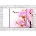 Pictură Magic Color Branch of Pink orchid on a White background (500195)