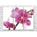 Картина Magic Color Branch of a Pink orchid with large flowers and buds (500196)