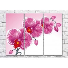 Картина Magic Color Branch of Pink orchid-graphic drawing (500198)