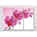 Картина Magic Color Branch of Pink orchid-graphic drawing (500198)