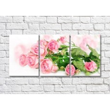 Картина Magic Color Branch of a Pink rose on a White background (500199)