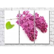 Картина Magic Color Branch of Pink lilac with a leaf (500202)