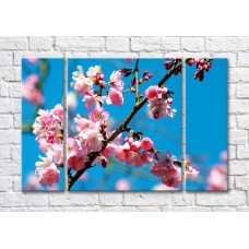 Pictură Magic Color Cherry blossom branch on a bright Blue background (500204)