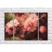 Pictură Magic Color Sakura branch with large fluffy flowers (500205)