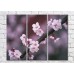 Pictură Magic Color Sakura branch with small flowers (500206)