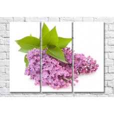 Pictură Magic Color Lilac branch and Green leaves (500208)