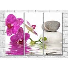 Pictură Magic Color Purple orchid branch and stones by the water (500209)