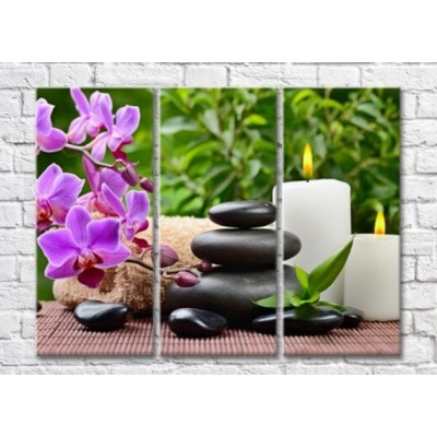 Pictură Magic Color Purple orchid branch, Black pebbles and burning candles (500211)