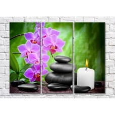 Pictură Magic Color Purple orchid branch, Black stones and burning candle (500212)