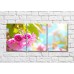 Картина Magic Color Cherry blossom branch and sunbeams (500213)
