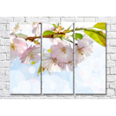 Pictură Magic Color Cherry blossom branch on a Sky background (500214)