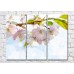 Pictură Magic Color Cherry blossom branch on a Sky background (500214)
