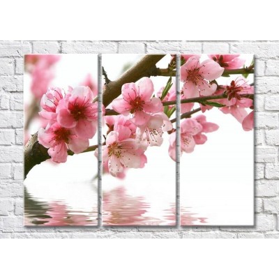 Pictură Magic Color Cherry blossom branch over water (500216)