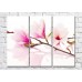 Картина Magic Color Branches of Pink magnolia on a White background (500221)