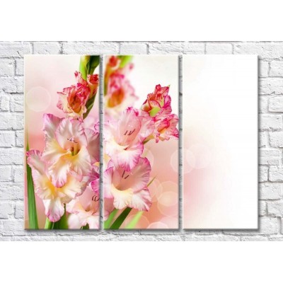 Картина Magic Color Branches of Pink gladioli on a light background (500222)