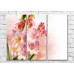 Картина Magic Color Branches of Pink gladioli on a light background (500222)