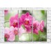 Картина Magic Color Branches of Pink orchids on a Green background (500223)