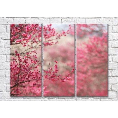 Картина Magic Color Sakura branches in Pink (500224)