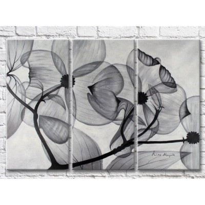 Картина Magic Color Transparent flowers Black and White on a Gray background (3499090)