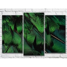 Картина Magic Color Green bird feathers (3499126)