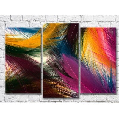 Картина Magic Color Colorful colorful bird feathers (3499119)