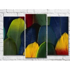 Pictură Magic Color Multicolored bird feathers (3499125)