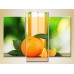 Pictură Magic Color Triptych Orange Juice (2698621)