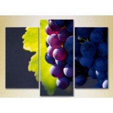 Pictură Magic Color Triptych Grapes Lydia (2698625)