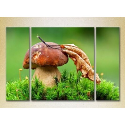 Pictură Magic Color Triptych Mushroom in the Green grass (2698626)