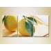 Pictură Magic Color Triptych Two Lemons (2698627)