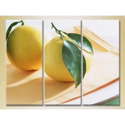 Pictură Magic Color Triptych Two Lemons (2698628)