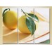 Pictură Magic Color Triptych Two Lemons (2698628)