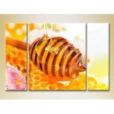 Pictură Magic Color Triptych Honey in the honeycomb (2698672)