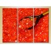 Pictură Magic Color Triptych Red Caviar (2698659)