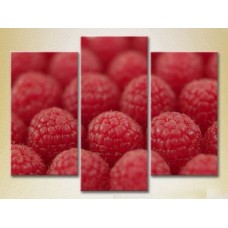 Pictură Magic Color Triptych Raspberry (2698670)